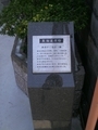 20250413213259