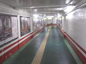 Himg0049