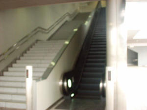 Photo_2