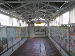 Himg0202