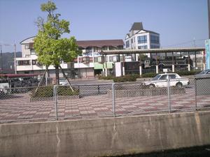 Himg0369