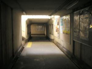 Himg0355