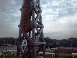 Photo_3