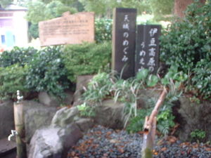 Photo_4