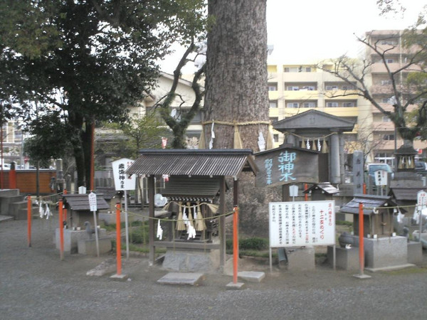 Himg0708 Himg0708