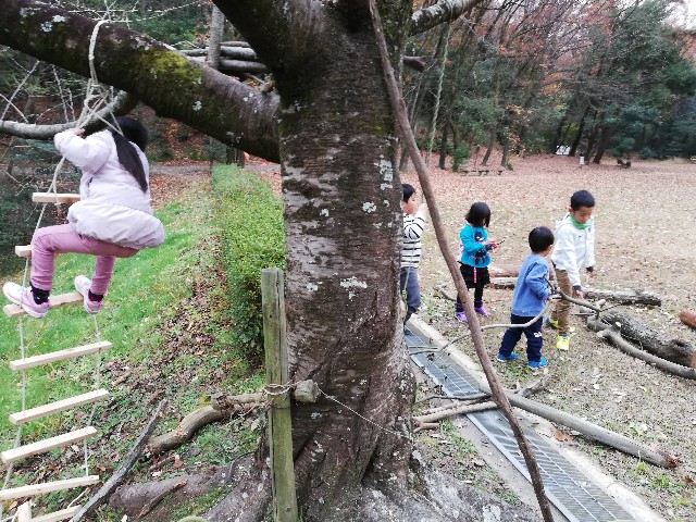 f:id:leftkanabun0314:20191222211046j:image
