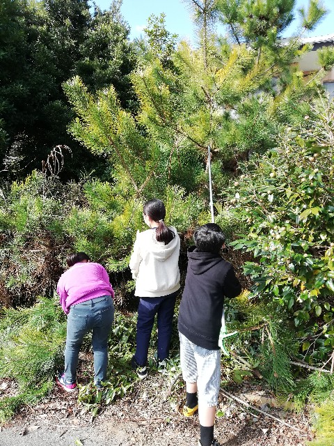 f:id:leftkanabun0314:20200401175247j:image f:id:leftkanabun0314:20200401175247j:image