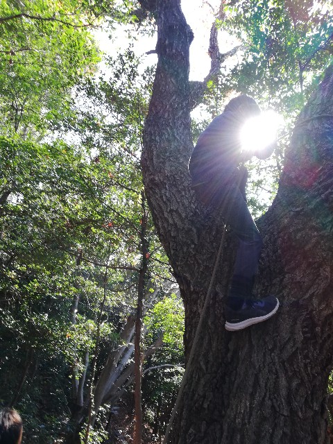 f:id:leftkanabun0314:20200403212301j:image