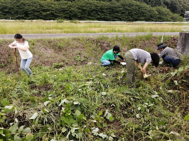 f:id:leftkanabun0314:20200610190813j:image