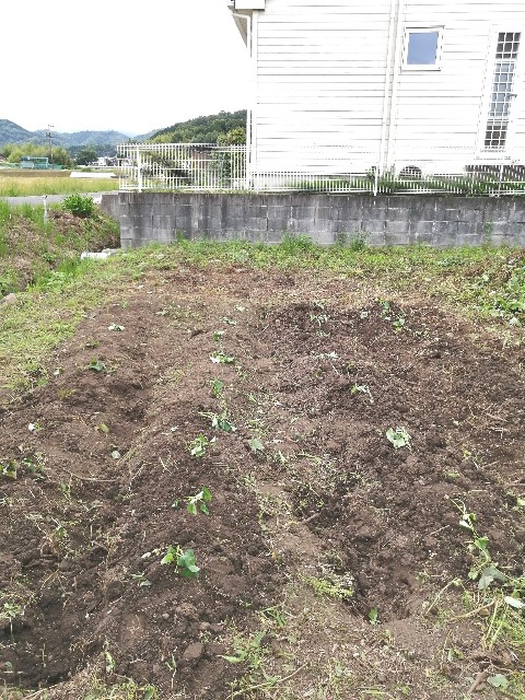 f:id:leftkanabun0314:20200610191326j:image