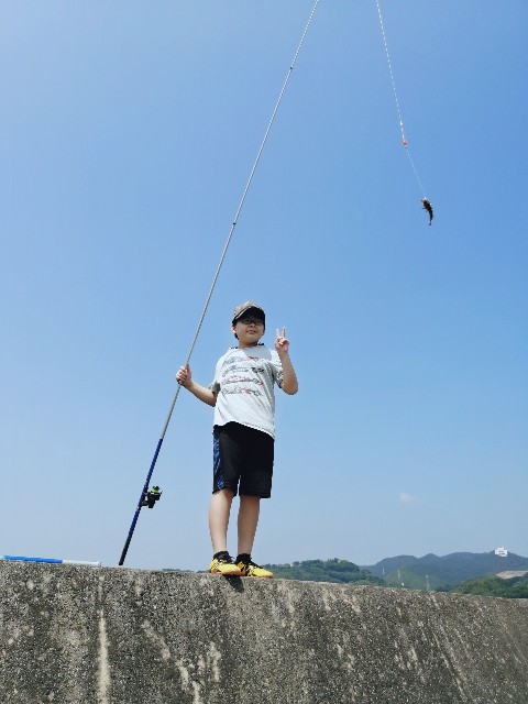 f:id:leftkanabun0314:20200821162318j:image f:id:leftkanabun0314:20200821162318j:image