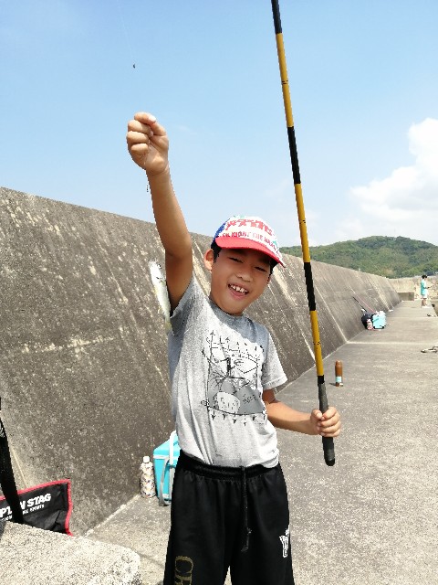 f:id:leftkanabun0314:20200821162429j:image f:id:leftkanabun0314:20200821162429j:image