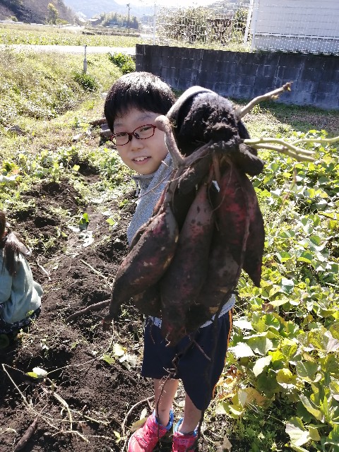 f:id:leftkanabun0314:20201119145226j:image