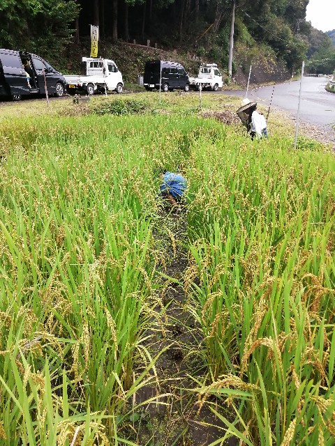f:id:leftkanabun0314:20210912173754j:image