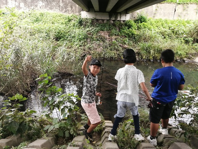 f:id:leftkanabun0314:20210928211650j:image
