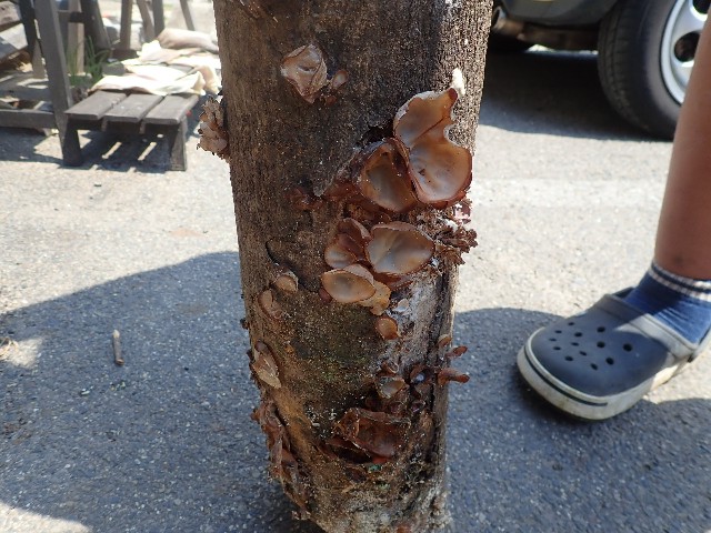 f:id:leftkanabun0314:20220429020404j:image f:id:leftkanabun0314:20220429020404j:image