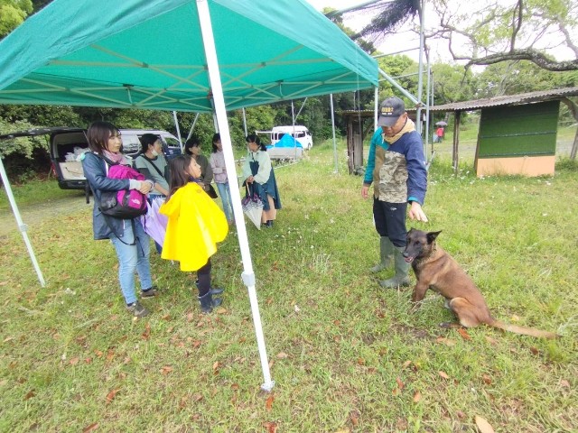 f:id:leftkanabun0314:20230501203707j:image f:id:leftkanabun0314:20230501203707j:image