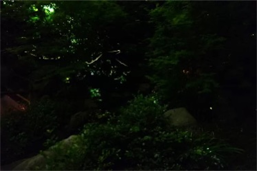 f:id:leftkanabun0314:20240501151030j:image