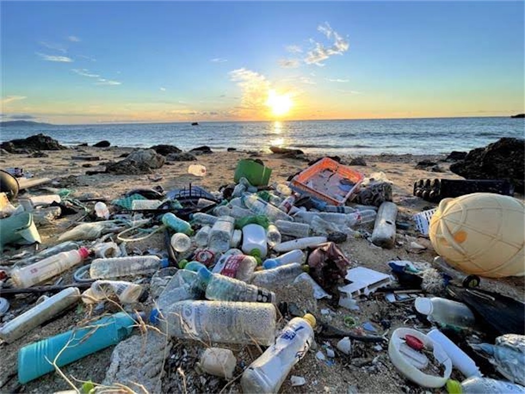 f:id:leftkanabun0314:20240501153605j:image