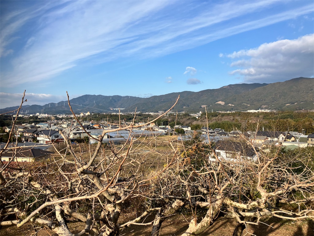 f:id:leftkanabun0314:20241229055123j:image f:id:leftkanabun0314:20241229055123j:image