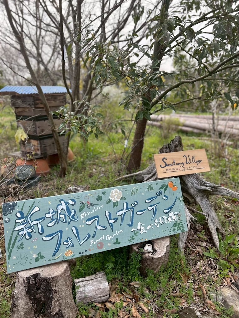 f:id:leftkanabun0314:20260114075751j:image f:id:leftkanabun0314:20260114075751j:image