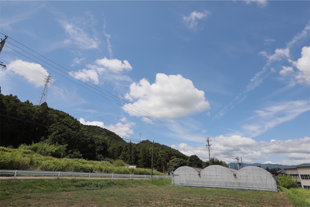 f:id:leftkanabun0314:20260820183529j:image