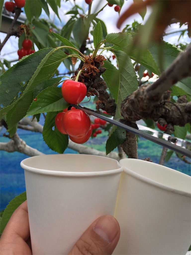 f:id:legami:20190616175742j:image f:id:legami:20190616175742j:image
