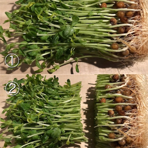 f:id:legami:20190815163324j:image f:id:legami:20190815163324j:image