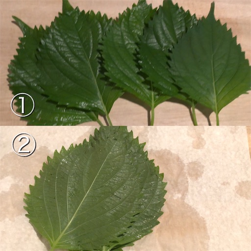 f:id:legami:20190923221651j:image f:id:legami:20190923221651j:image