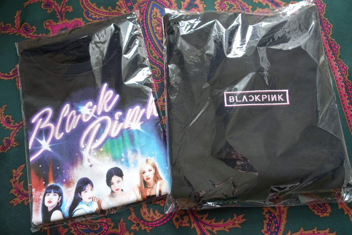 f:id:leggodesu:20191128030710j:plain f:id:leggodesu:20191128030710j:plain