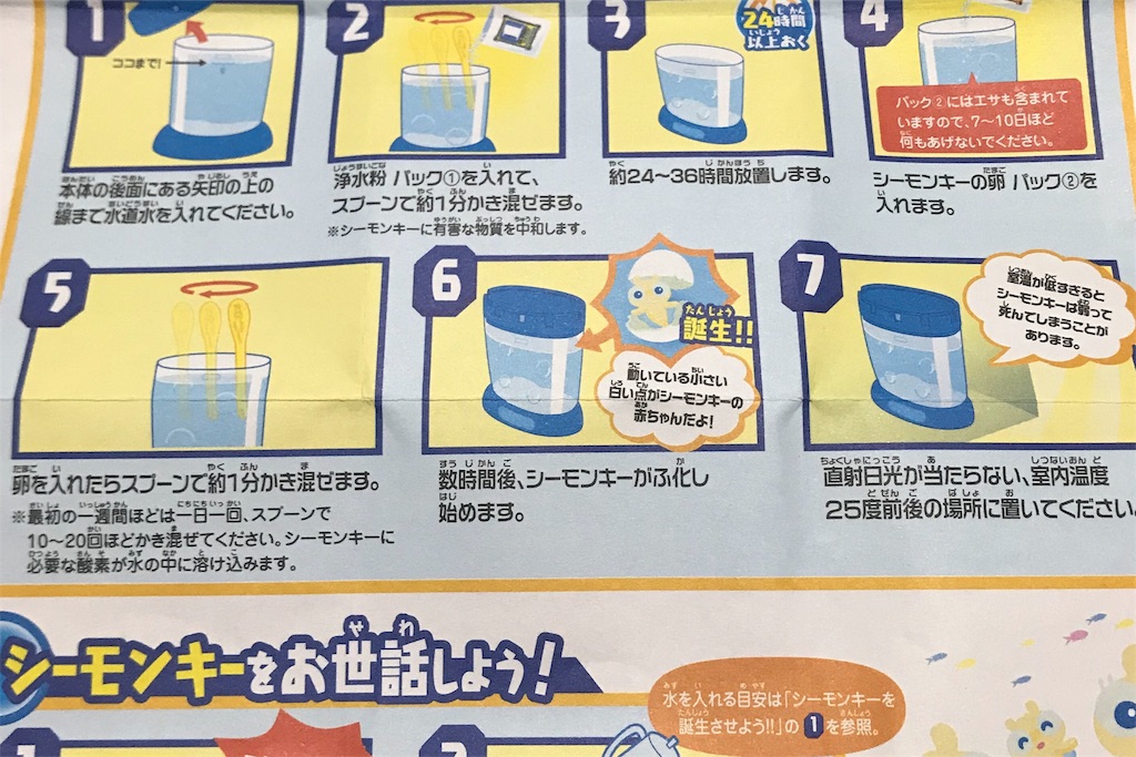 シーモンキーズ飼育日記 孵化から1週間 05shufu