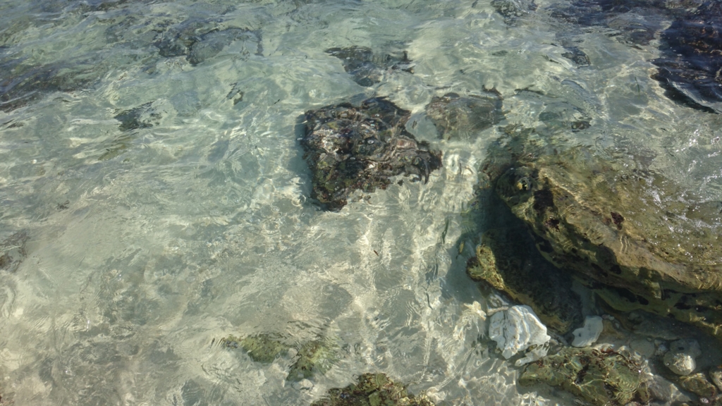 f:id:lehmanpacker:20160905085455j:plain