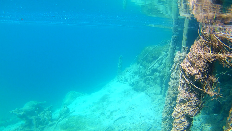 f:id:lehmanpacker:20170507015049j:plain f:id:lehmanpacker:20170507015049j:plain