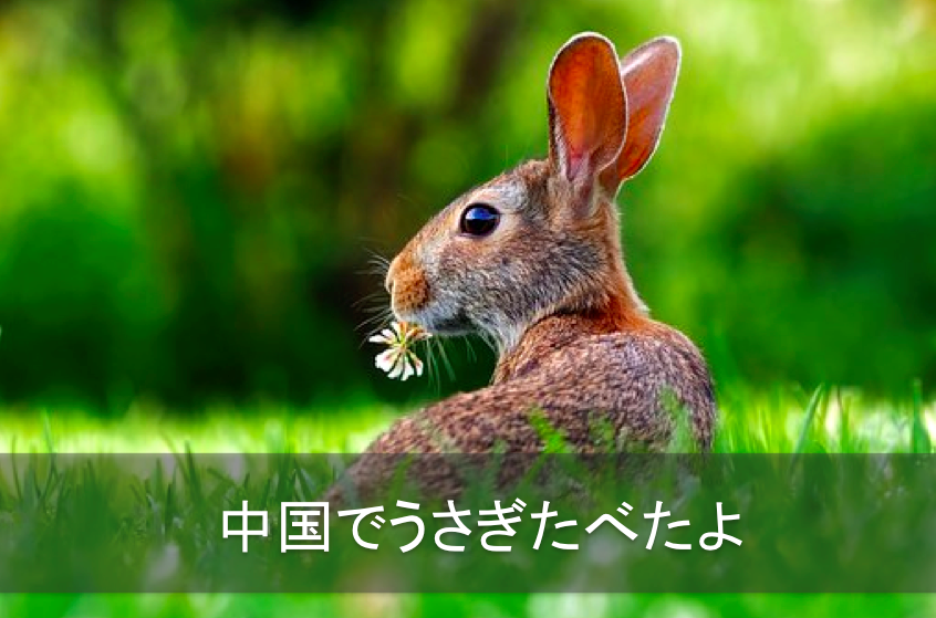f:id:lehmanpacker:20171028083907p:plain