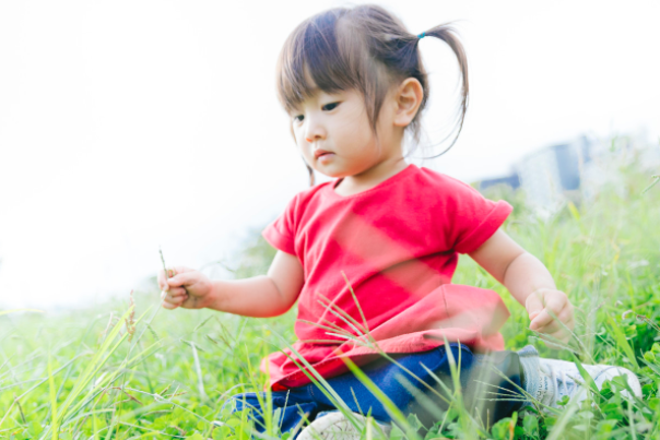 f:id:lehmanpacker:20171206190211p:plain