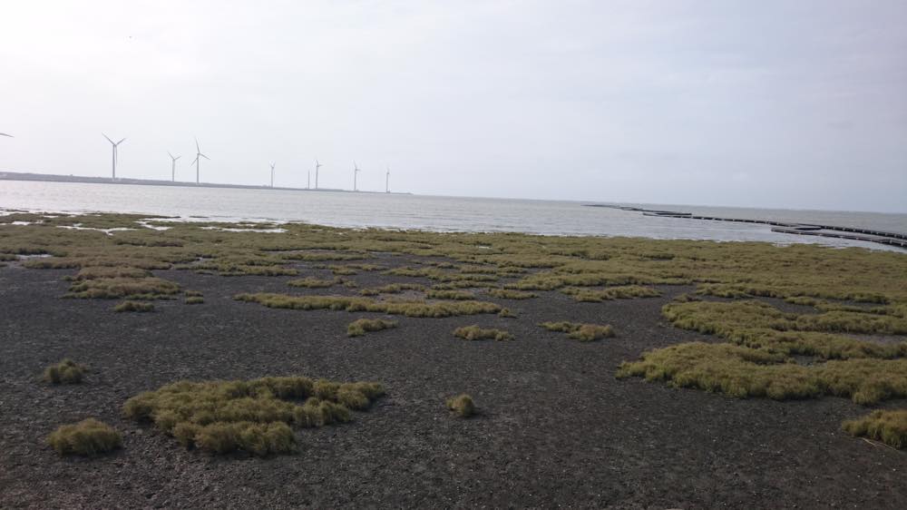 f:id:lehmanpacker:20180124214550j:plain f:id:lehmanpacker:20180124214550j:plain