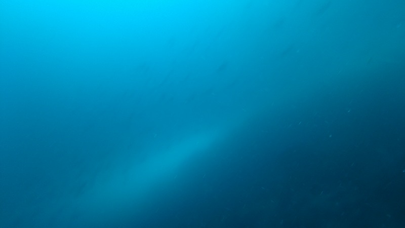 f:id:lehmanpacker:20180820190859j:plain