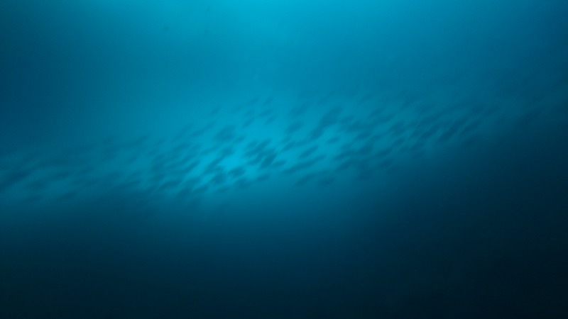 f:id:lehmanpacker:20180820190925j:plain