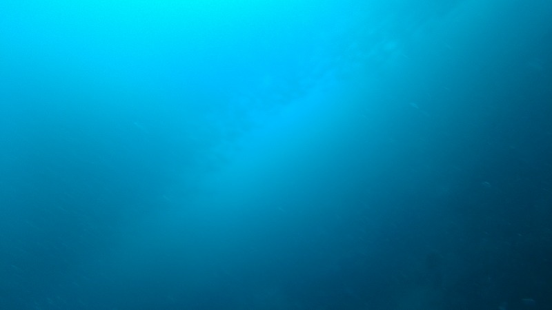 f:id:lehmanpacker:20180820190935j:plain
