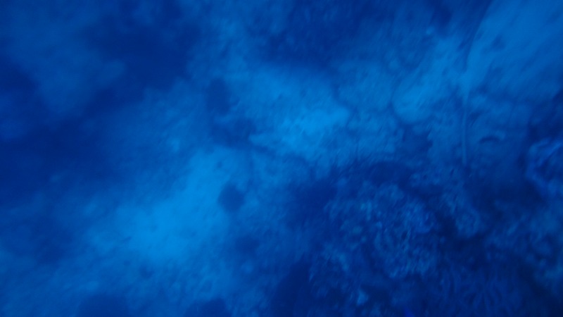 f:id:lehmanpacker:20180820190948j:plain