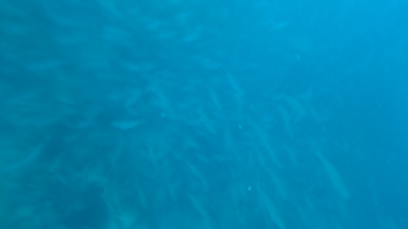 f:id:lehmanpacker:20180820190955j:plain