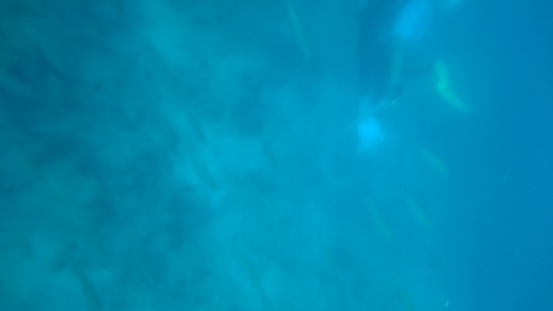 f:id:lehmanpacker:20180820190958j:plain