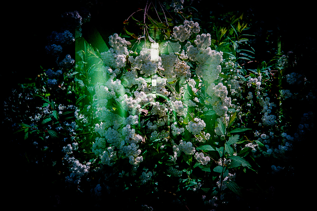 f:id:leica-format:20211017205530j:plain