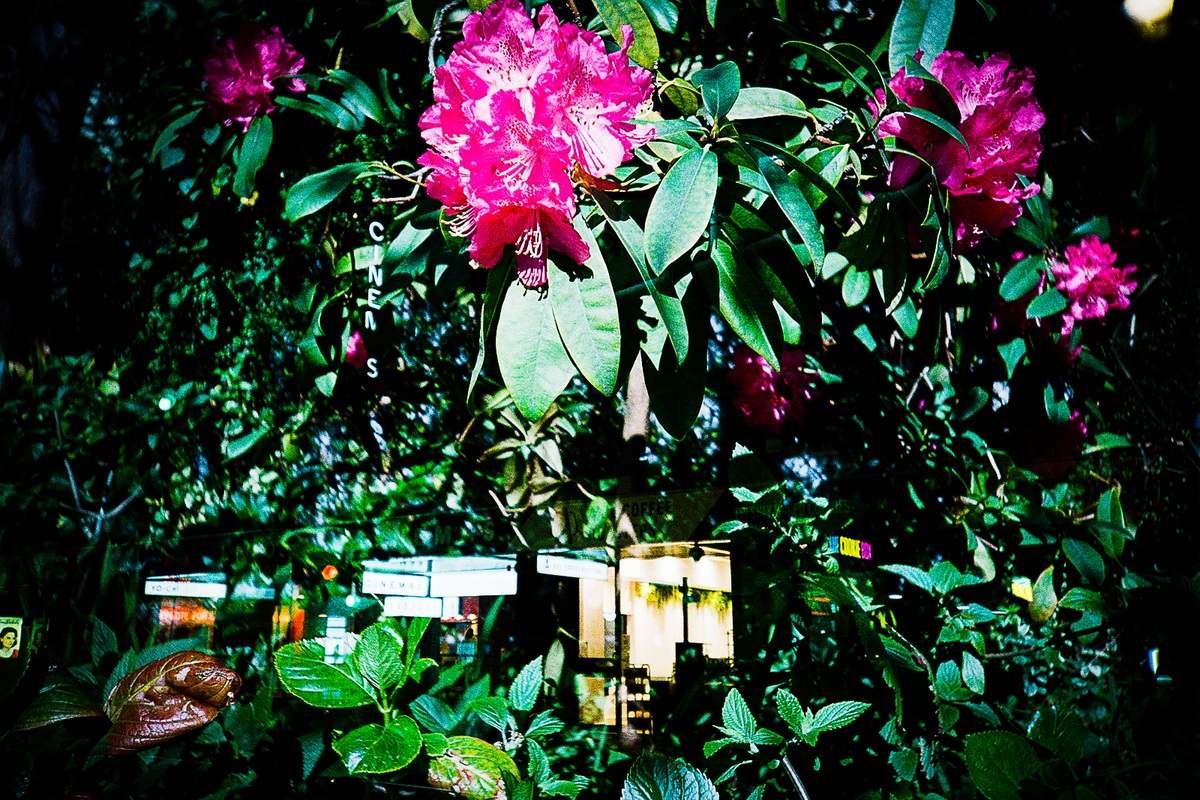 f:id:leica-format:20211017205818j:plain
