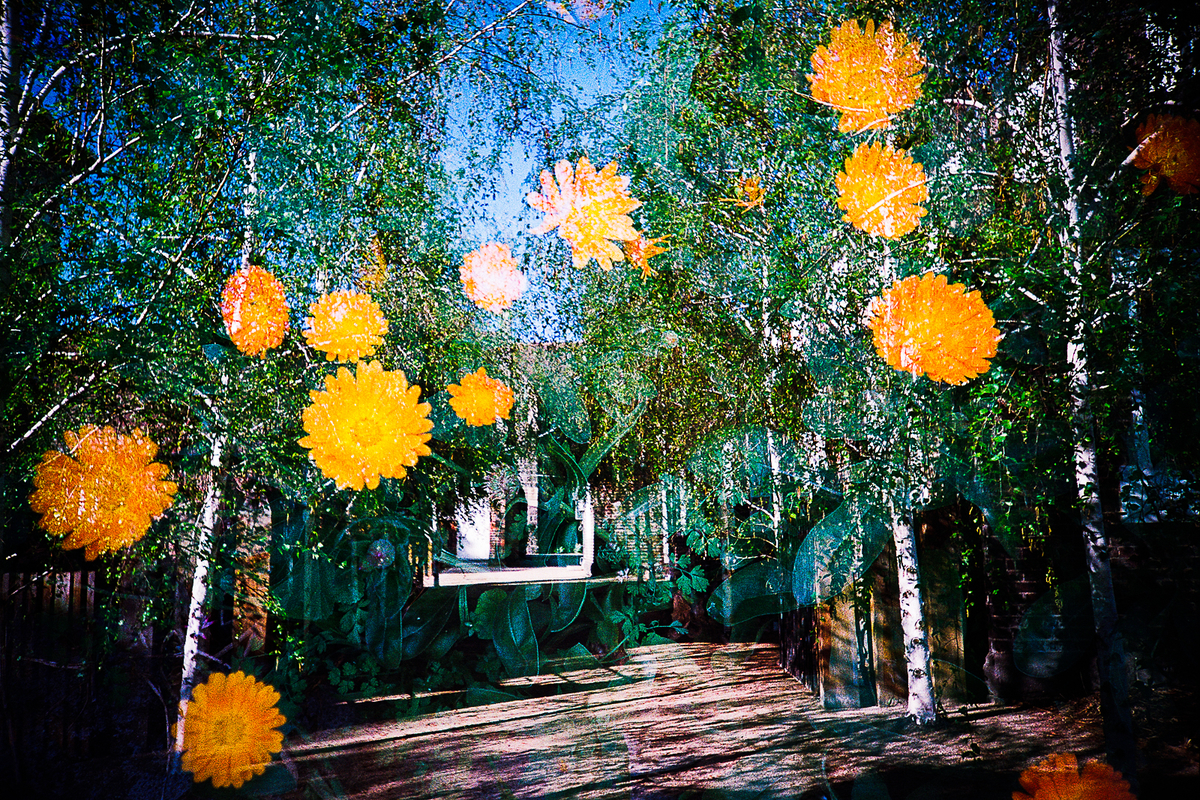 f:id:leica-format:20211017205844j:plain