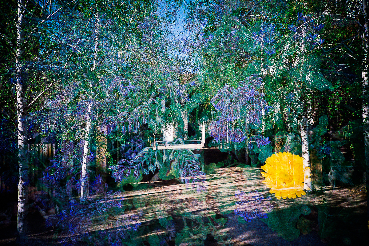 f:id:leica-format:20211017205910j:plain