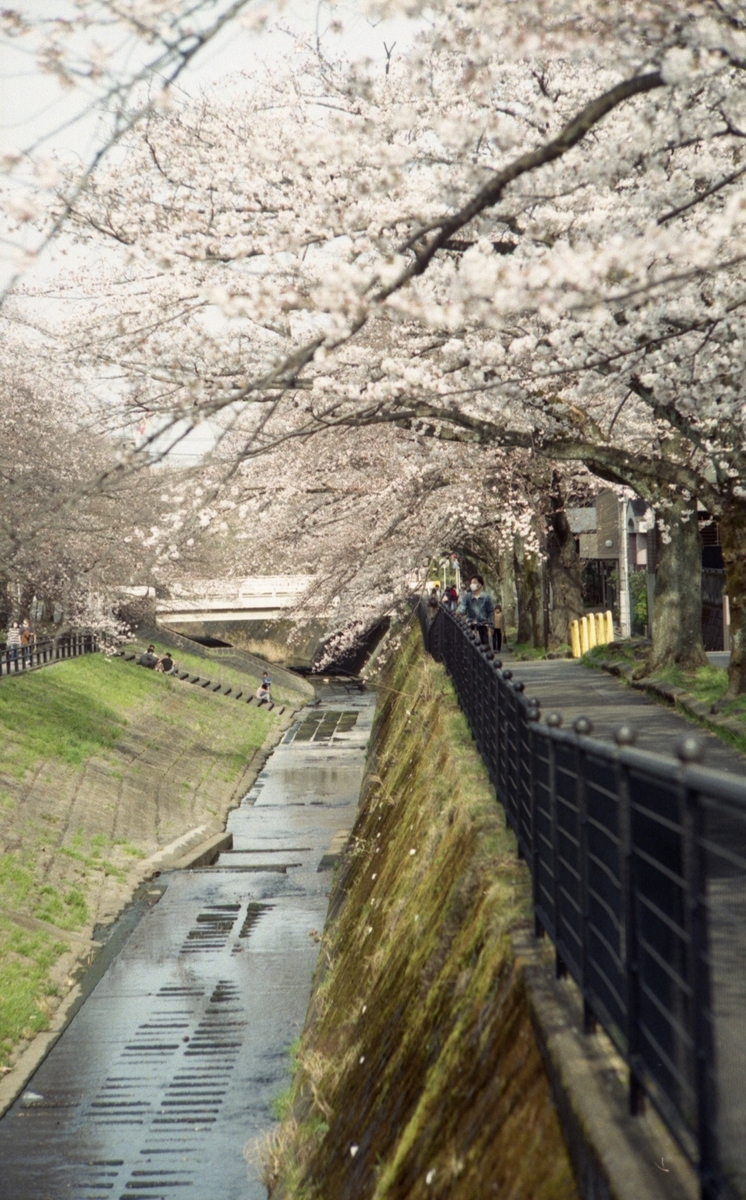 f:id:leica13579:20200324182410j:plain f:id:leica13579:20200324182410j:plain