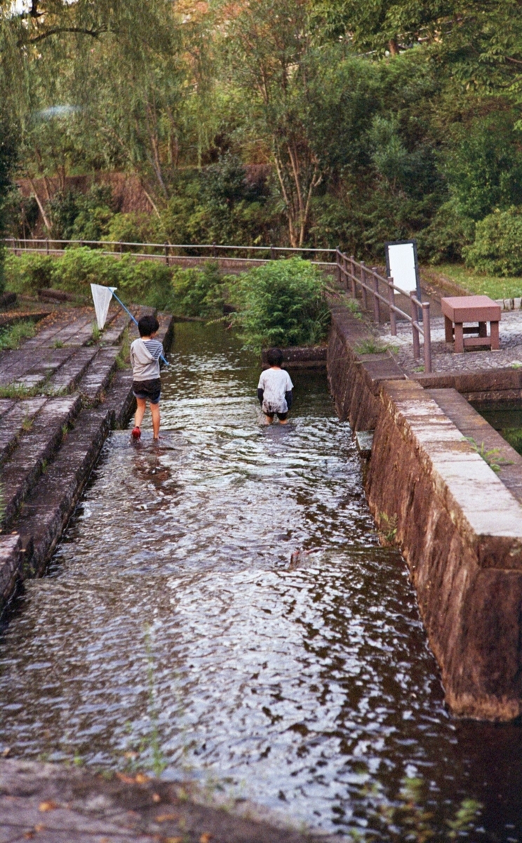 f:id:leica13579:20201102181048j:plain