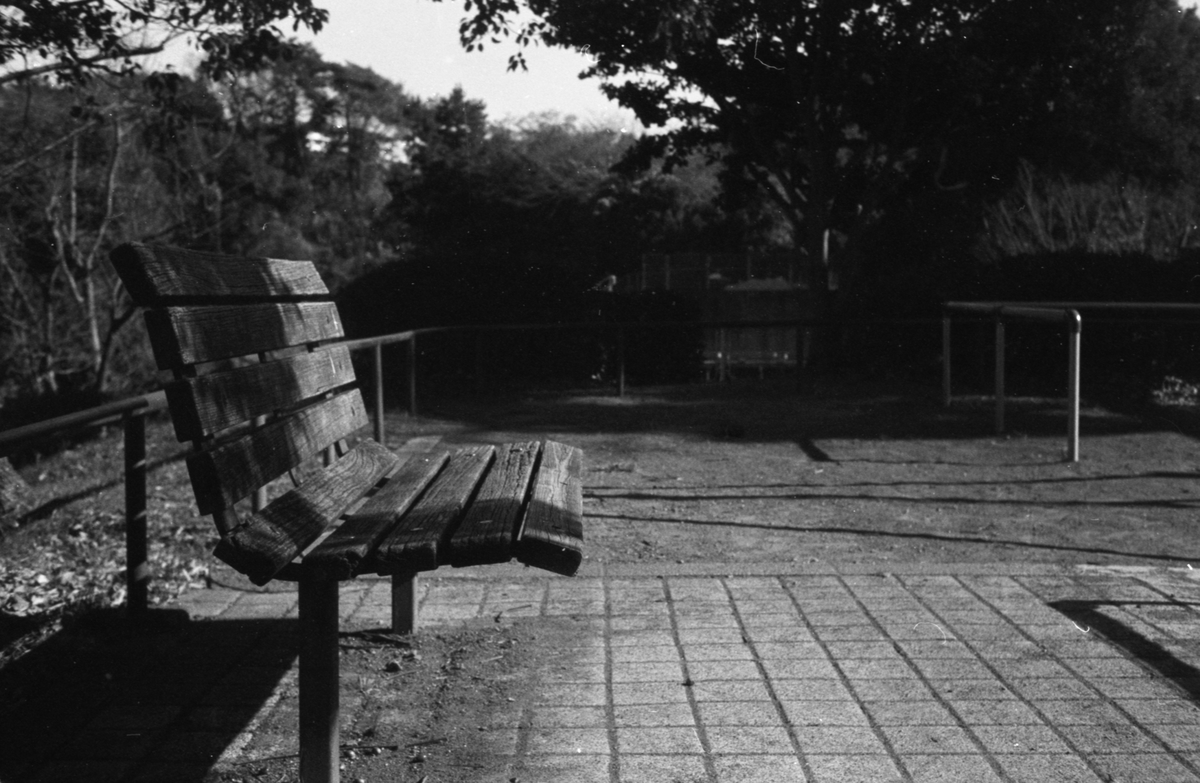 f:id:leica13579:20201224194235j:plain