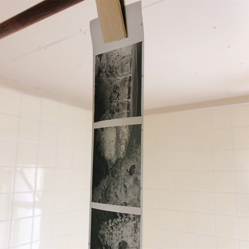 f:id:leica13579:20210621105630j:image